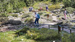 Oberhof im Höhenrausch: Die Alpen wachsen jetzt am Rennsteig