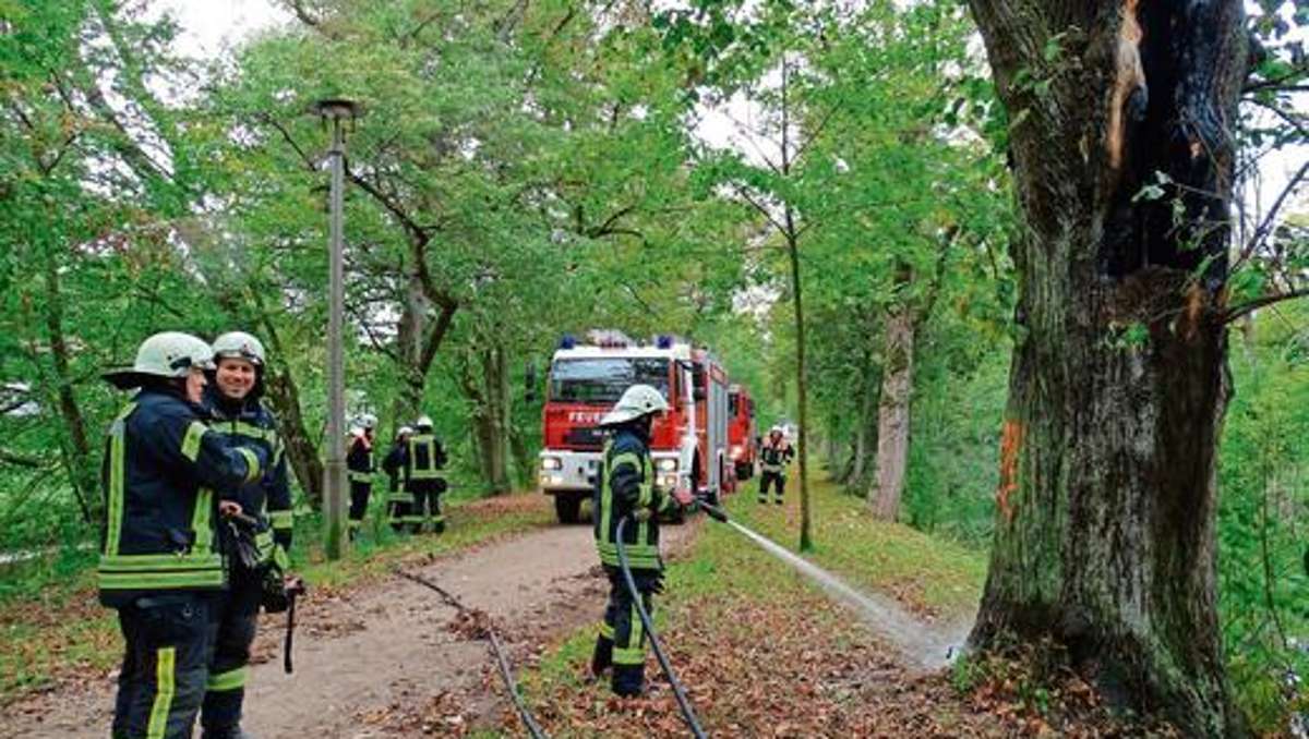 Hildburghausen: Hohler Baumriese brennt von innen