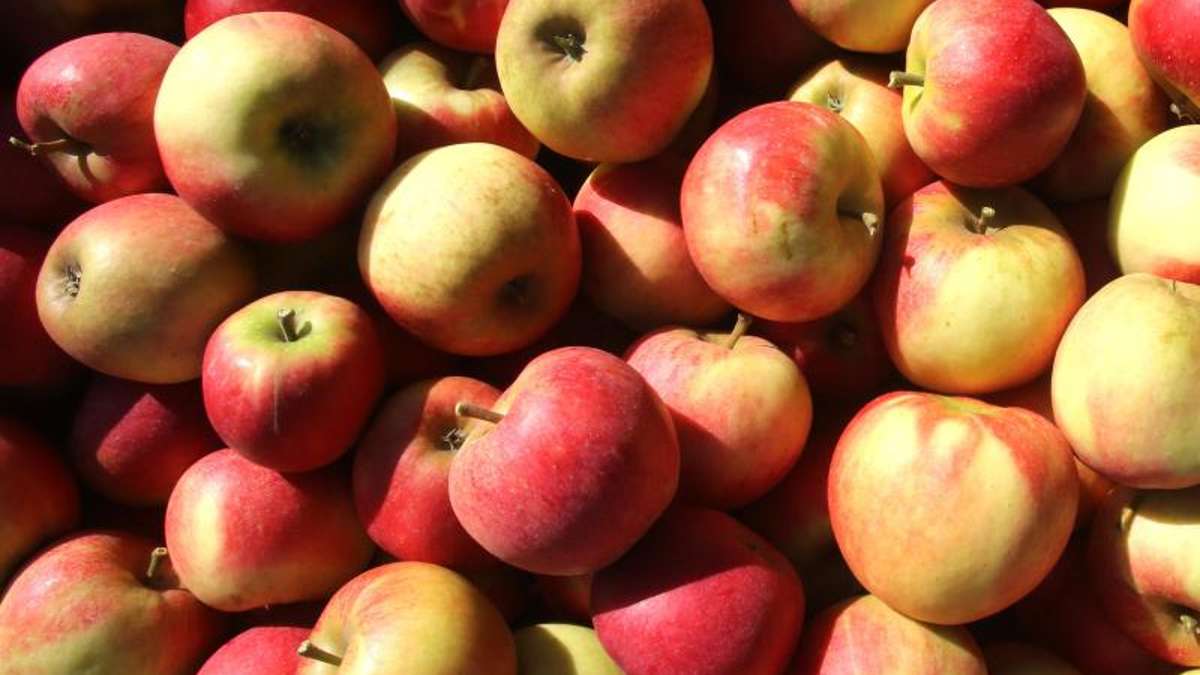 Wirtschaft: Dürftige Apfelernte lässt die Preise steigen