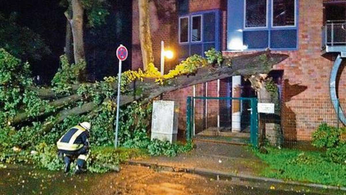 Hildburghausen: Unwetter mit Sturmböen warf Bäume um