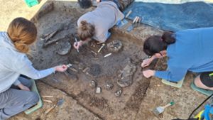 Fast 7000 Jahre alter bayerischer „Schultes“ ausgegraben