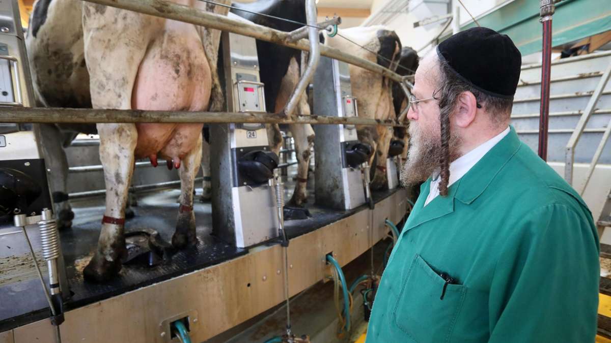 Thüringen: Milchbauern suchen Exportchance: Melken unter Rabbi-Aufsicht