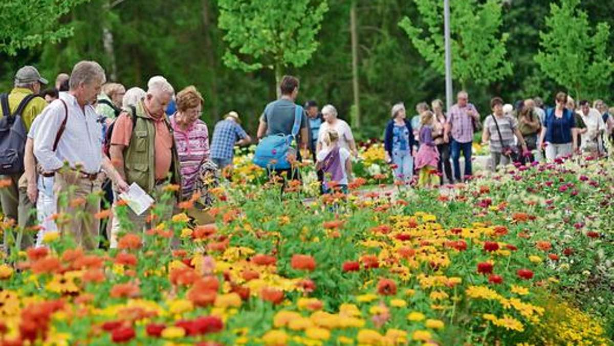 Thüringen: Landesgartenschau sorgt für Millioneninvestitionen in Apolda