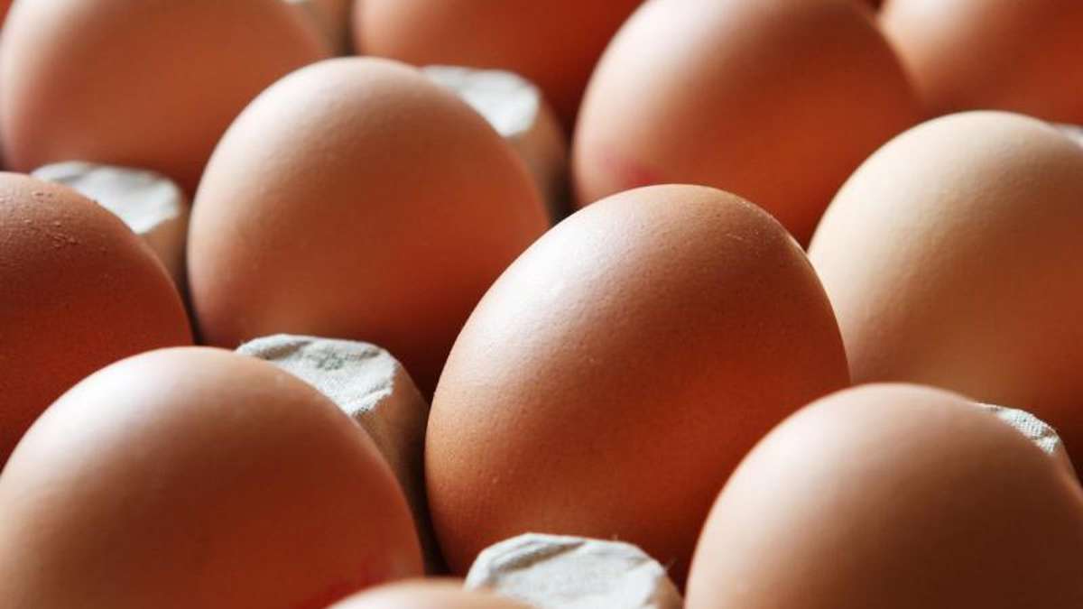 Wirtschaft: Spurensuche: Gift-Eier auch in Thürigen entdeckt