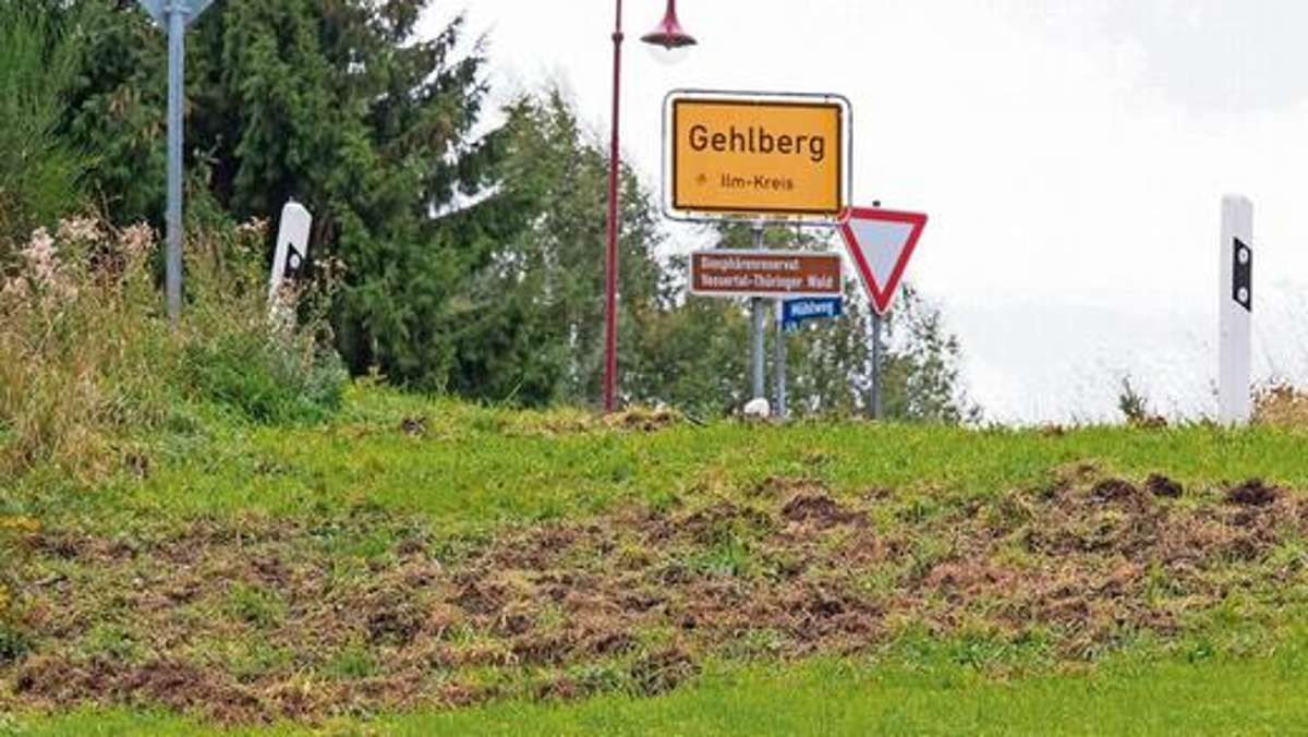 Ilmenau: Wildschweine wüten in Gehlberg