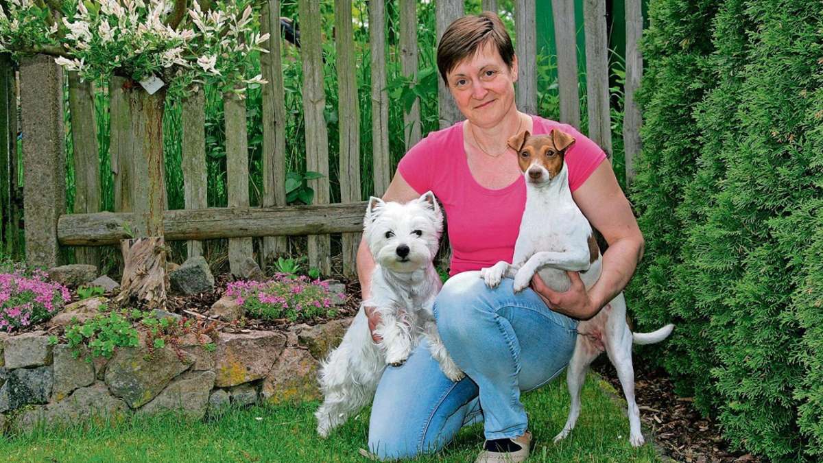 Schmalkalden: Terrier-Freunde in Breitungen: Ausstellung mit Kurzurlaub