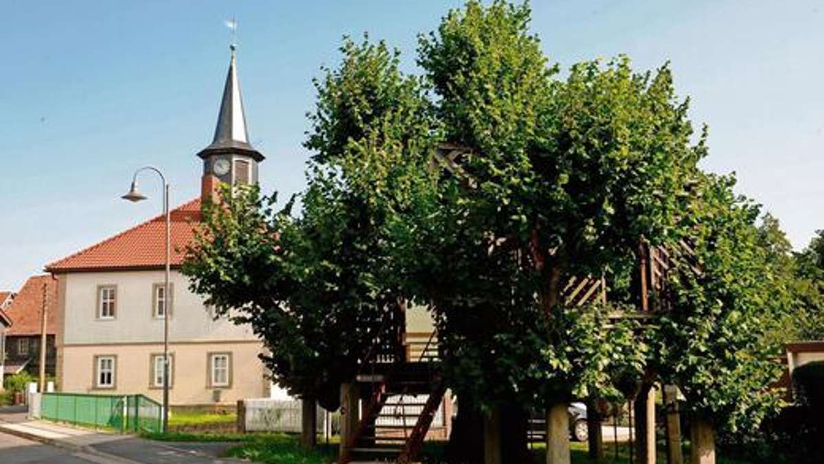 Hildburghausen: Umgang mit Bäumen in neuer Satzung geregelt