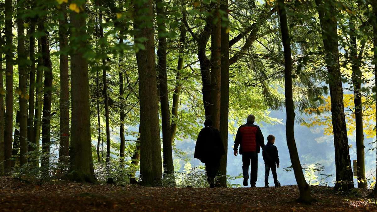 Thüringen: Eine Million neue Bäume für Thüringens Wälder