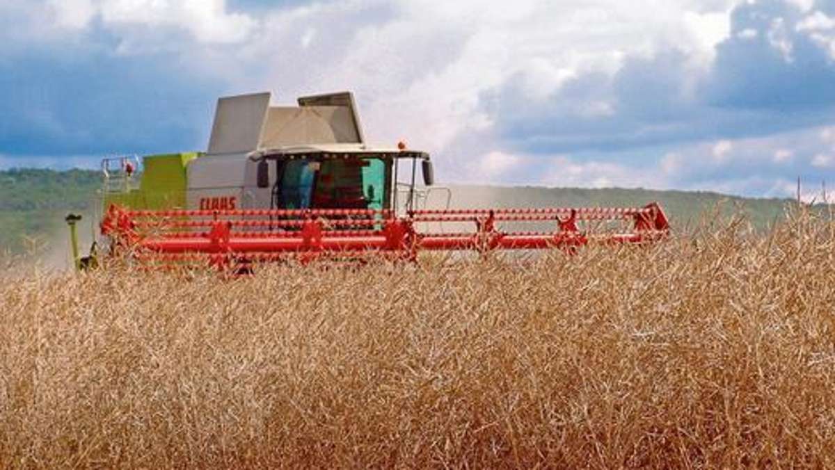 Thüringen: Trockenheit drückt auf Ertrag von Futter und Getreide