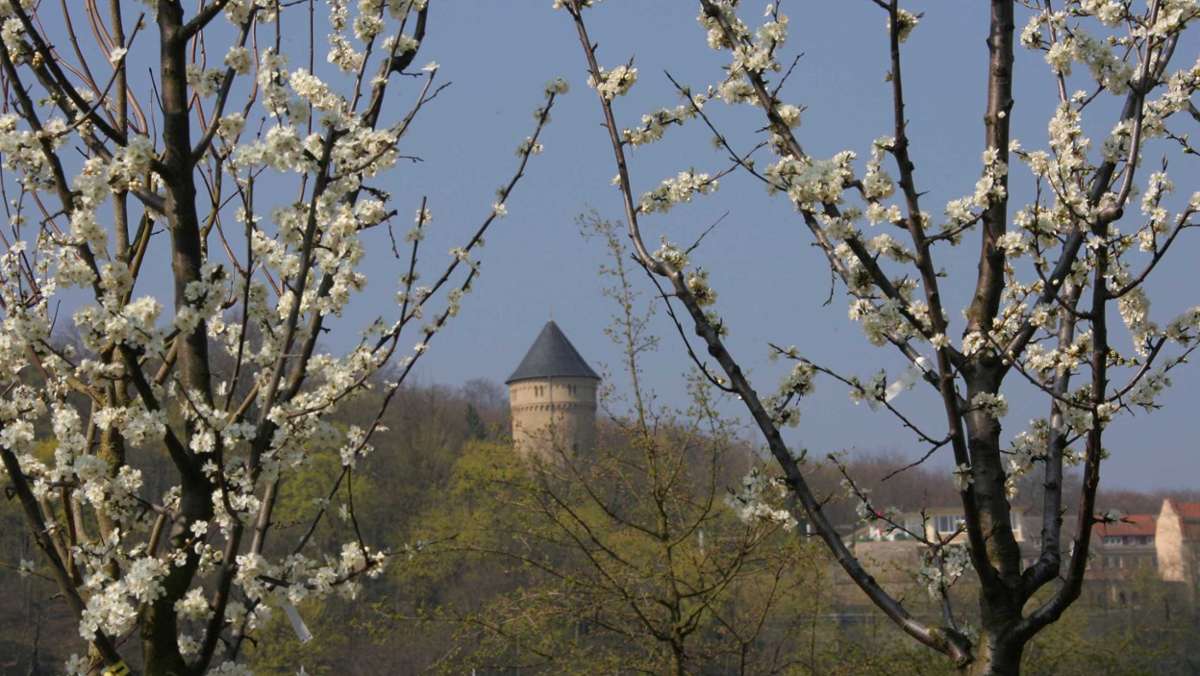 Thüringen: Privatleute aus Gera kaufen Schloss Osterstein: Millioneninvestition geplant