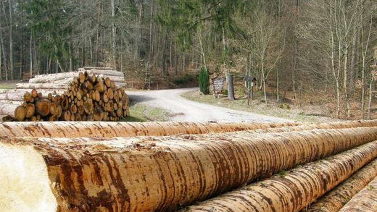 Hildburghausen: Gemeindewald als wichtigste Einnahmequelle