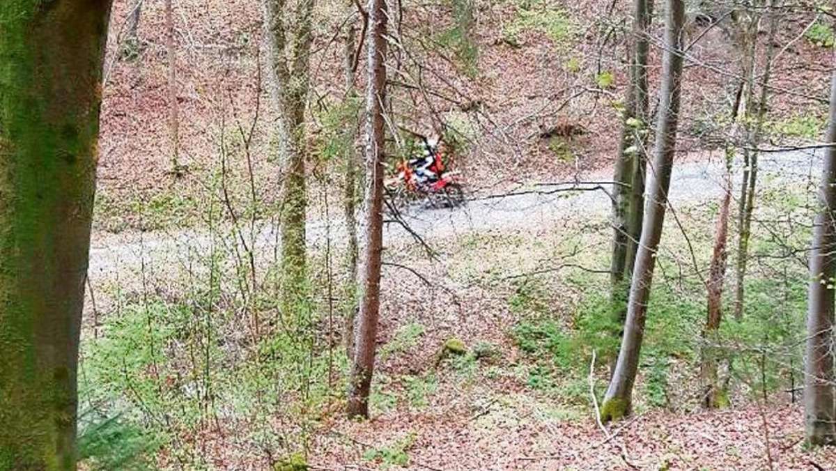 Meiningen: Wenn Crossfahrer den Wald zur illegalen Rennstrecke machen