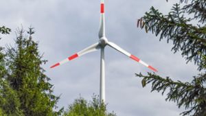 Grüne werben für Windanlagen auf Freiflächen in kahlen Wäldern