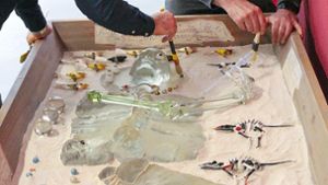 Abgelehntes Kunstwerk: Missglückter Glasknochen-Export