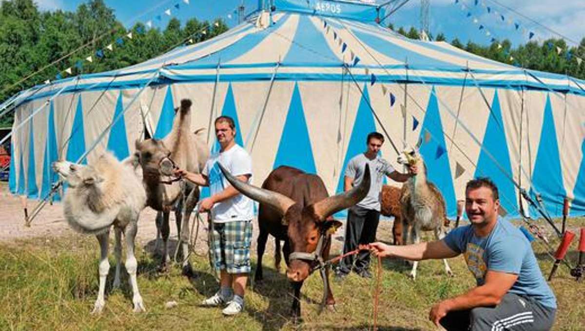 Suhl/ Zella-Mehlis: Exotisches vor dem Zelt: Der Zirkus ist da!
