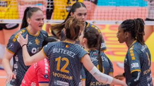 Volleyball-Bundesliga: In  Potsdam läuten die Alarmglocken