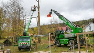 Baumfällungen: Wieder Buchen im Morbacher Park gefällt