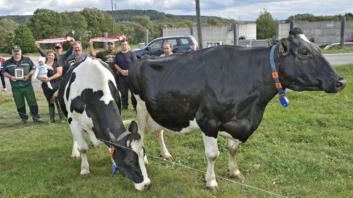 Statistik: Immer weniger Rinder, aber ausreichend Milch