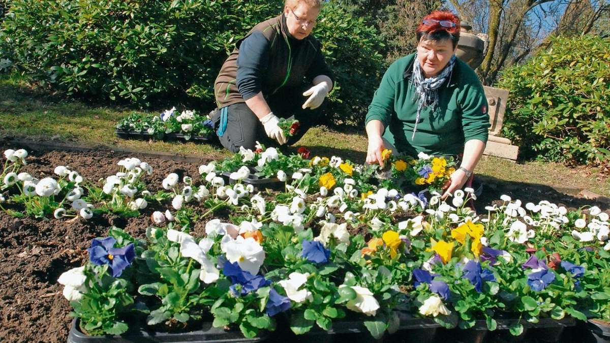Ilmenau: Neue Blumen im Stadtgebiet