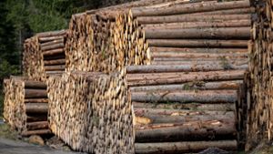 Millionenklage gegen Forst abgewiesen