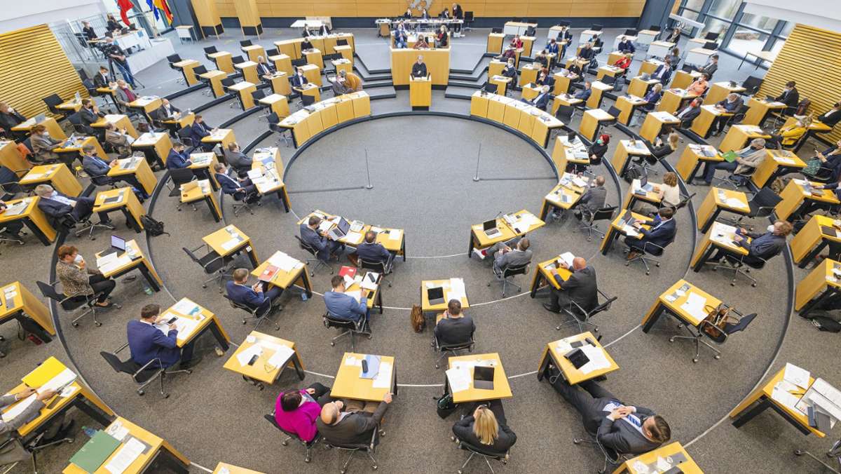 Im Vergleich zu groß: Eine kleine Partei will den  Landtag verkleinern