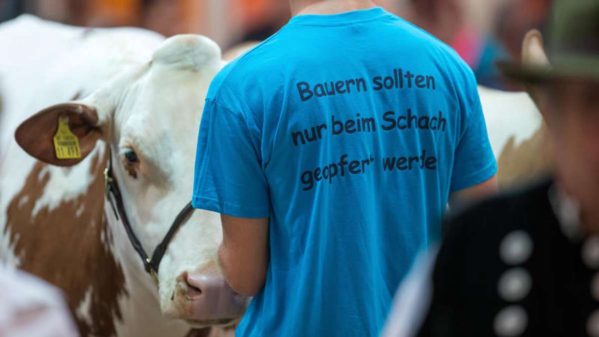 Thüringen: Land schnürt Hilfspaket für Milchbauern