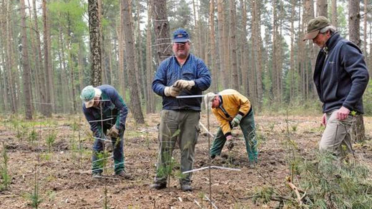 Bad Salzungen: Für einen gesunden Mischwald in 100 Jahren