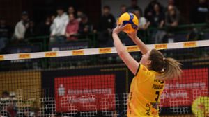 Volleyball, Bundesliga: Hollosy: „Ein Sieg ist immer schön“