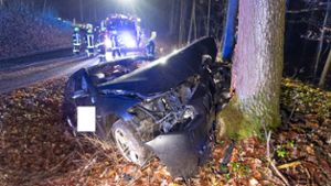 Fahrer verletzt: BMW kracht frontal gegen Baum