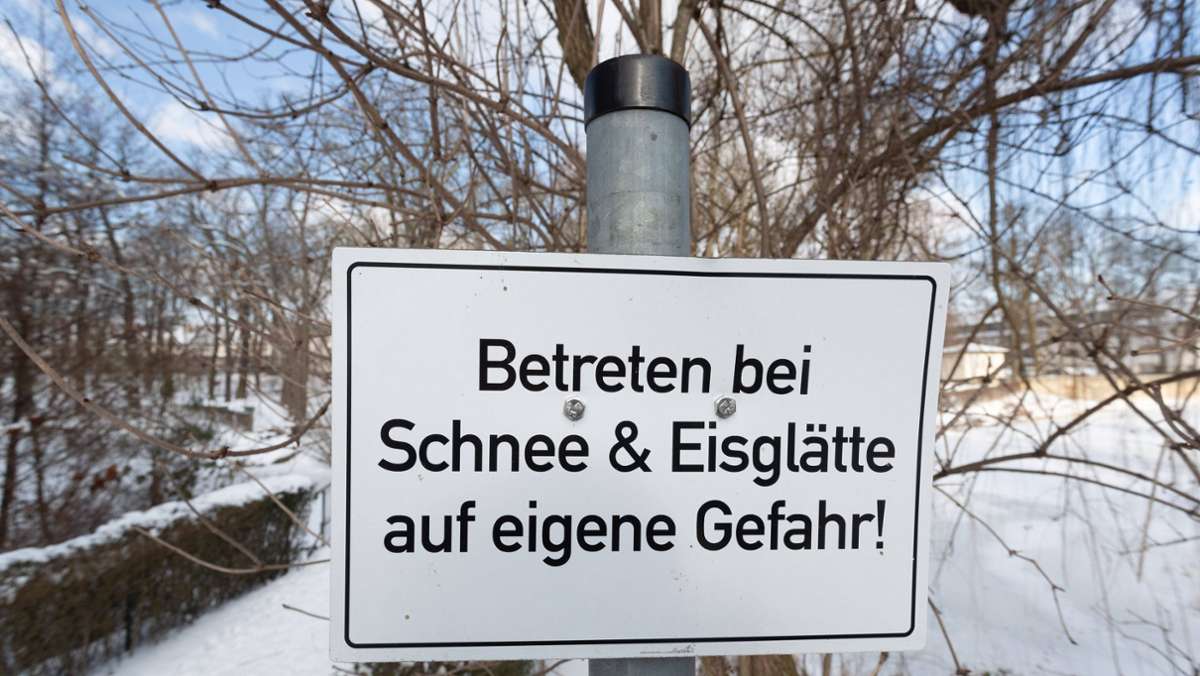 Berliner Tiergarten: Hund und Frauchen brechen nacheinander in Eis auf Gewässer ein