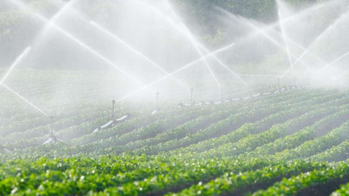 Thüringen: Land prüft Reaktivierung alter Speicher zur Bewässerung