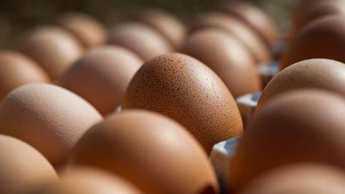 Wirtschaft: Zwei Verdachtsfälle um falsche Bio-Eier