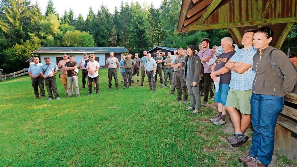 Steinbach-Hallenberg: Wild vor Wald in magyarischer Hackordnung