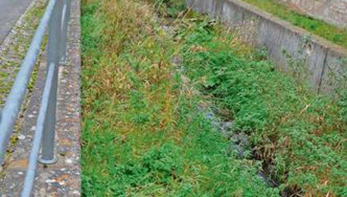 Bad Salzungen: Erneuertes Bachbett soll vor Hochwasser schützen