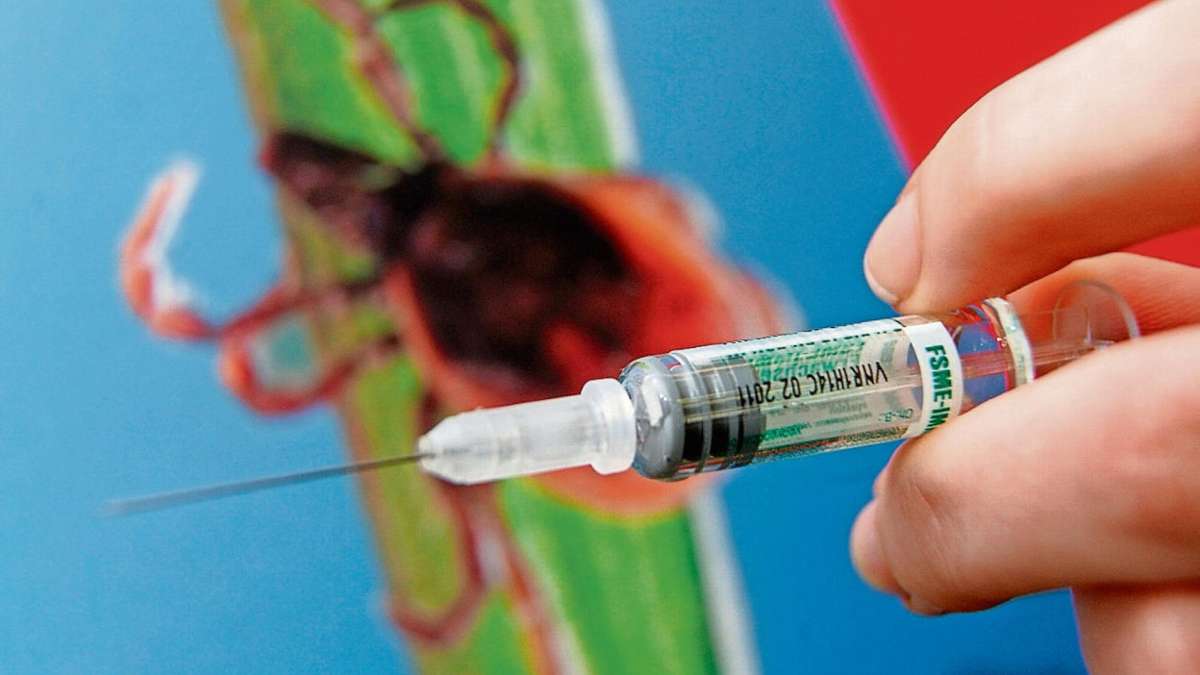 Ilmenau: Zecken schon aktiv: Mediziner raten zur Impfung gegen FSME