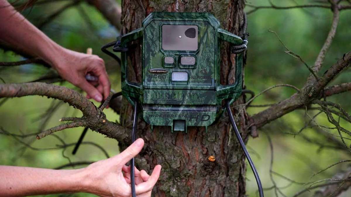 Thüringen: Meldepflicht für Wild- und Autokameras