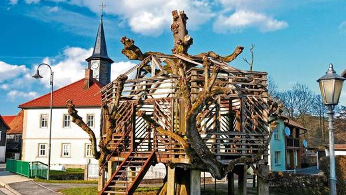 Hildburghausen: Fast 400 Jahre alte Tanzlinde in Form gebracht
