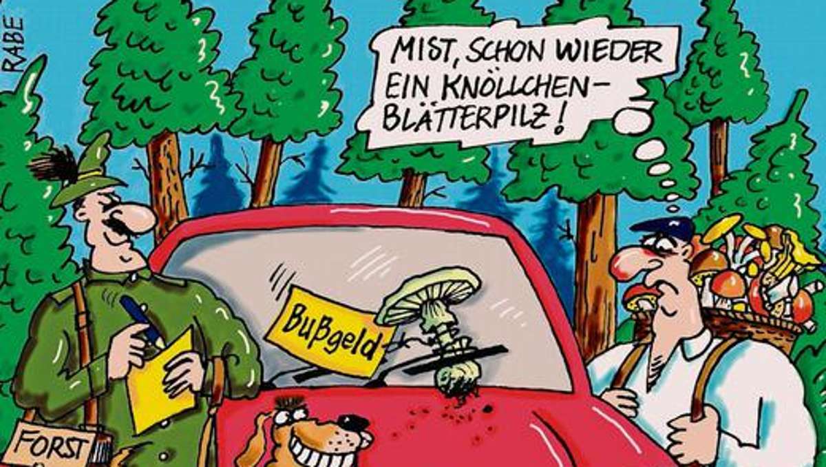 Schmalkalden: Autofahrern im Wald droht ein Knöllchen vom Förster