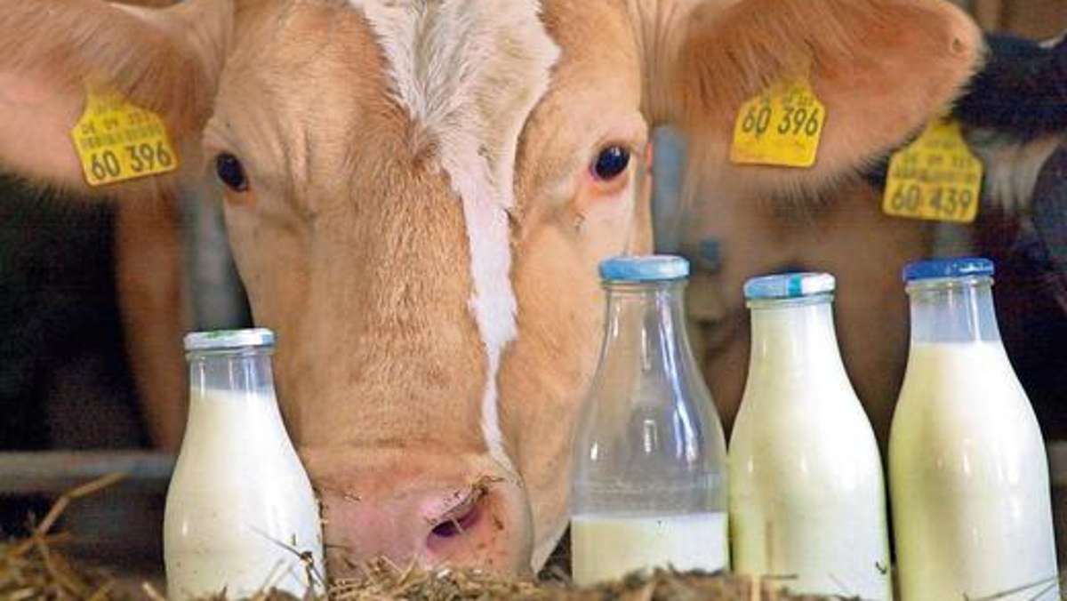 Thüringen: Bauern müssen wegen Antibiotika-Einsatz nachbessern