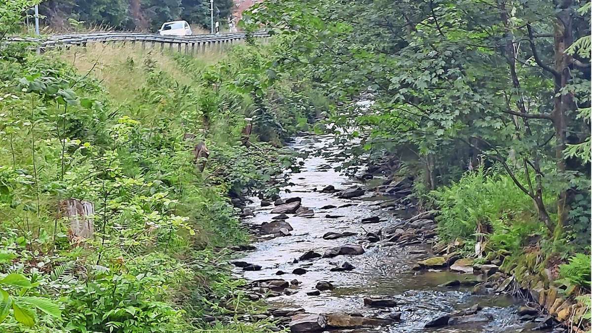 Flussmauer in Steinach: Kein Weg führt um Umleitung herum