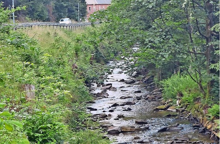 Flussmauer in Steinach: Kein Weg führt um Umleitung herum
