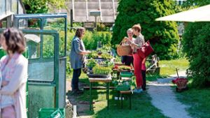 Pflanzenmarkt in Bedheim: Erfolgreich wie noch nie