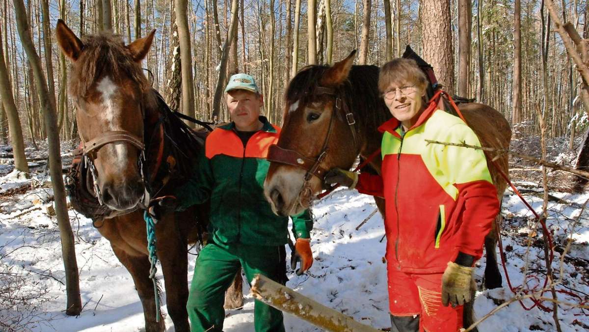 Ilmenau: Pferde rücken dem Holz zu Leibe