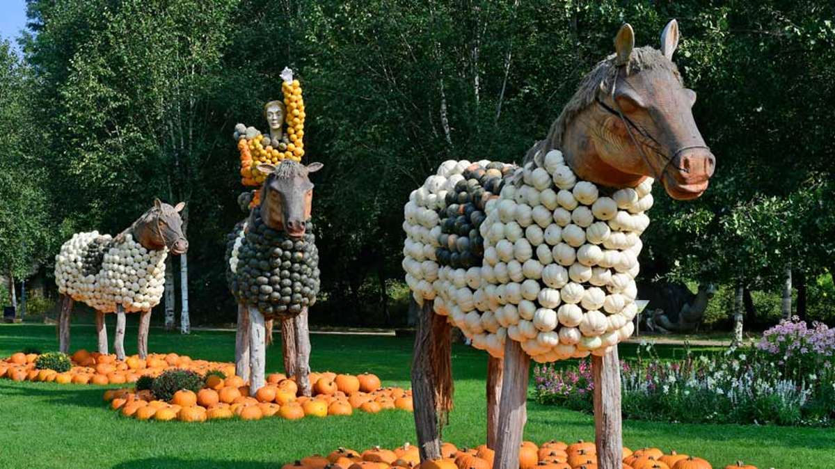 Thüringen: Ausstellung zeigt Skulpturen aus bis zu 80.000 Kürbissen