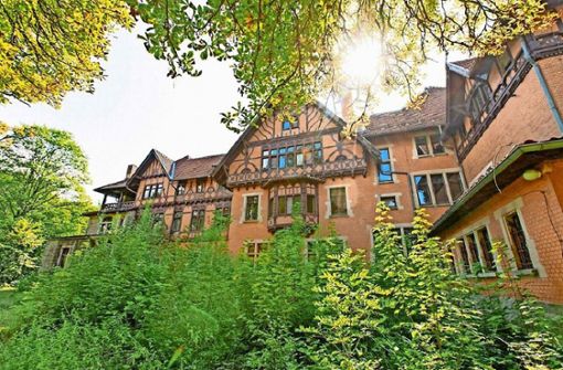 Schloss Bockstadt wird seinen Dornröschenschlaf vorerst fortsetzen, weil Investoren abgesprungen sind. Foto: /Steffen Ittig