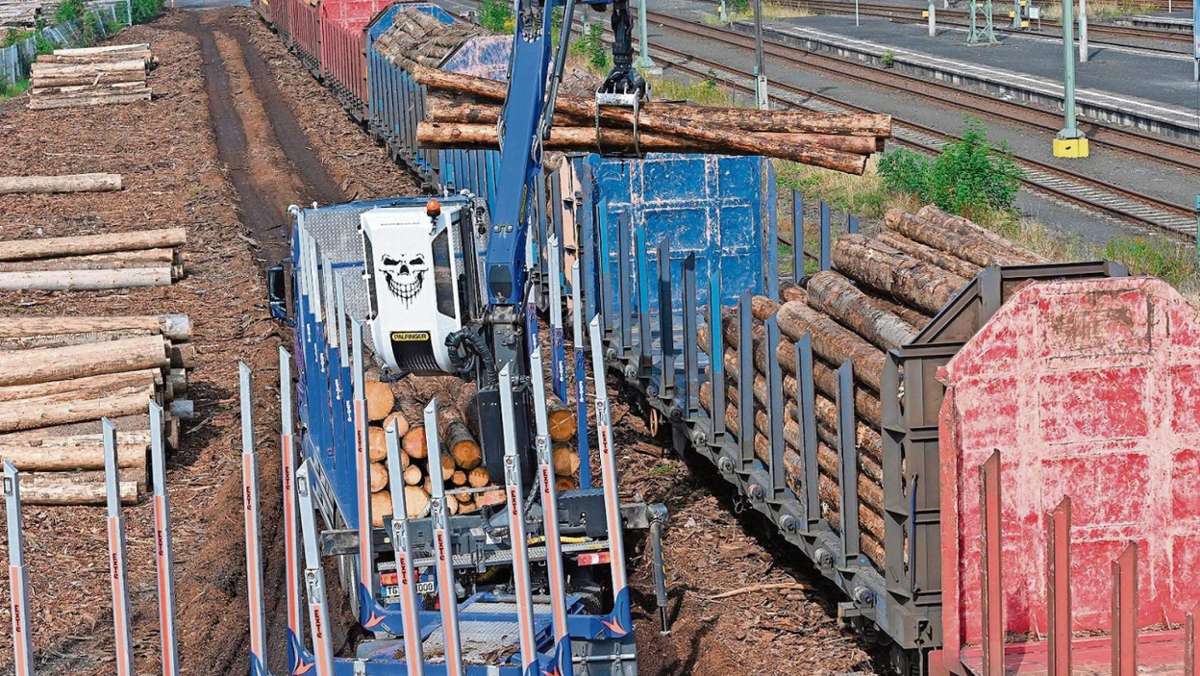 Sonneberg/Erfurt: Ein Holzwall müsste schon sehr hoch sein, um Wirkung zu haben