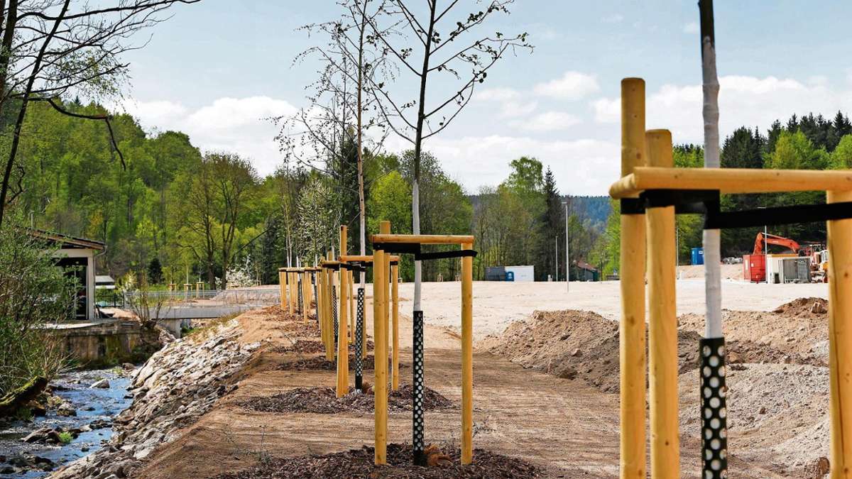 Suhl/ Zella-Mehlis: Neue Bäume am Gewerbegebiet