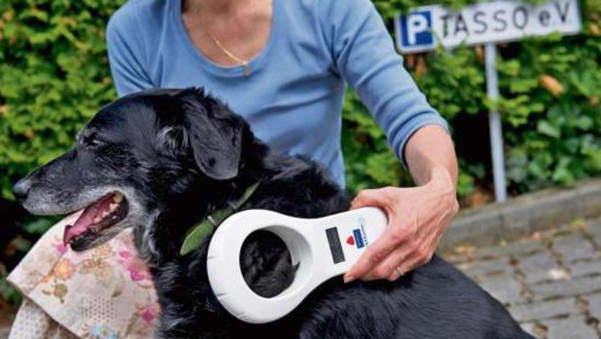 Ilmenau: Chip und Versicherung: Hundebesitzer im Kreis träge