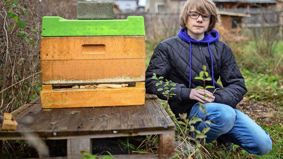 Jungimker aus Ilmenau: Der  Wächter der Honigbienen