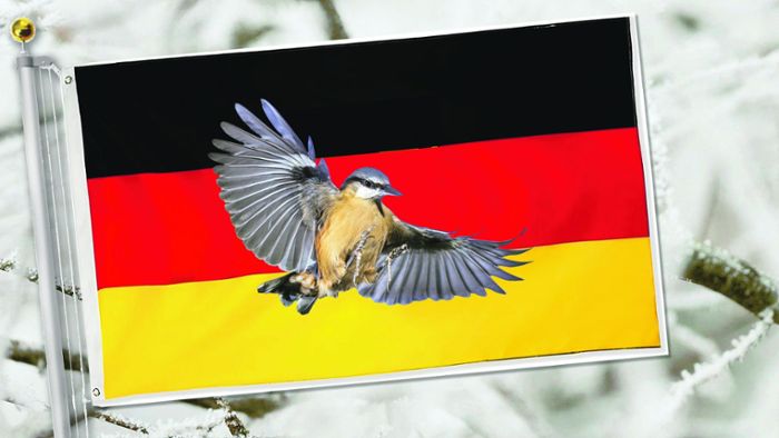 Zählung in Südthüringen: Deutschland braucht ein neues Wappentier